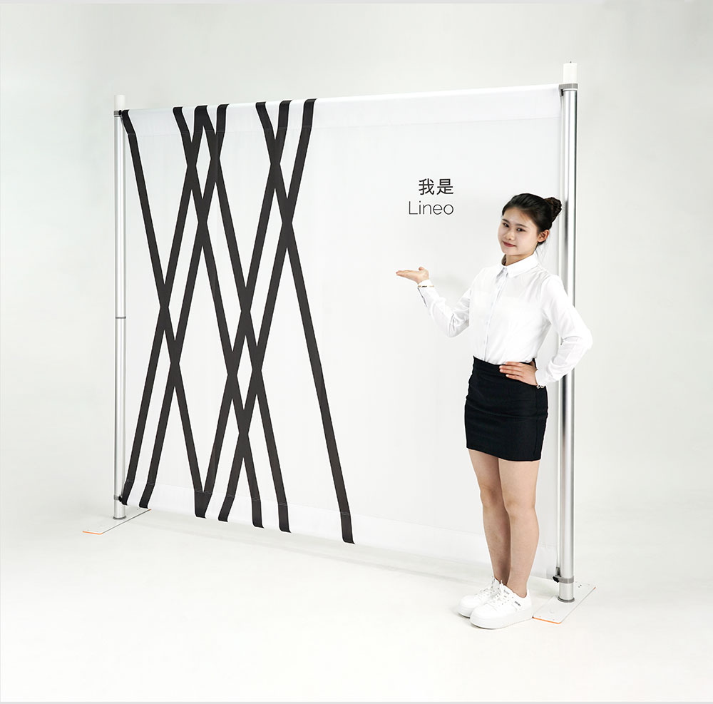 задняя стенка